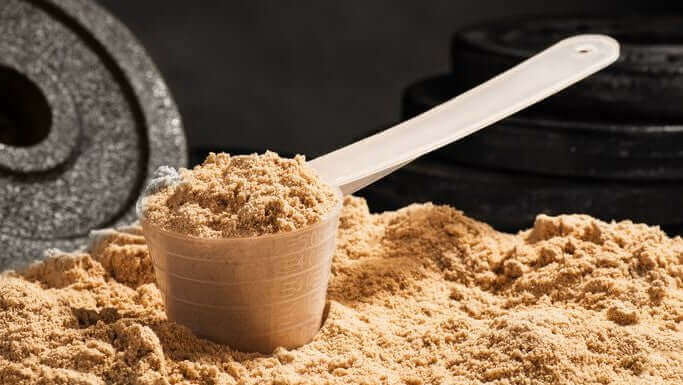 Let's Talk Protein