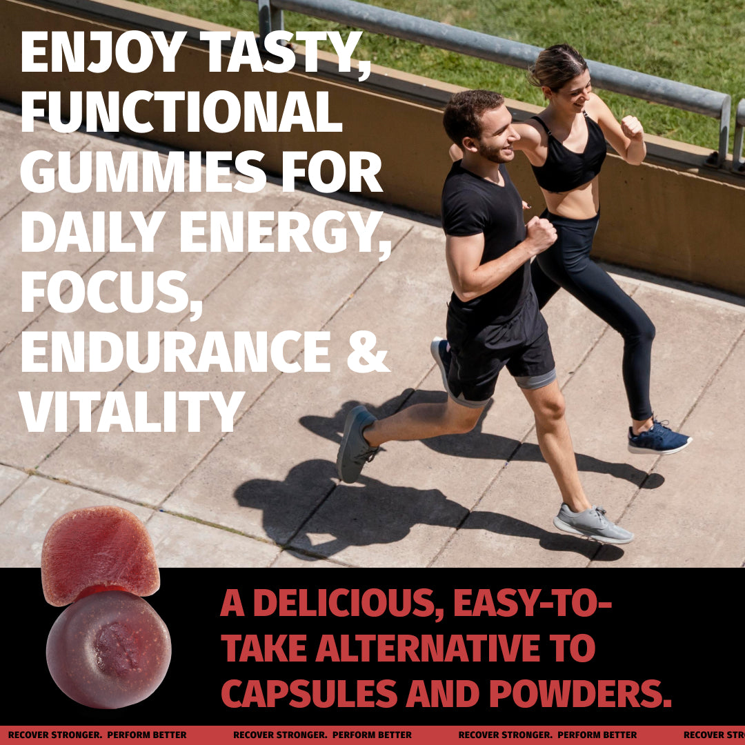 Shilajit Gummies 6-in-1 : Raspberry Watermelon Flavor