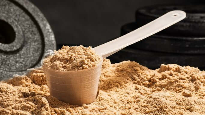 Let's Talk Protein