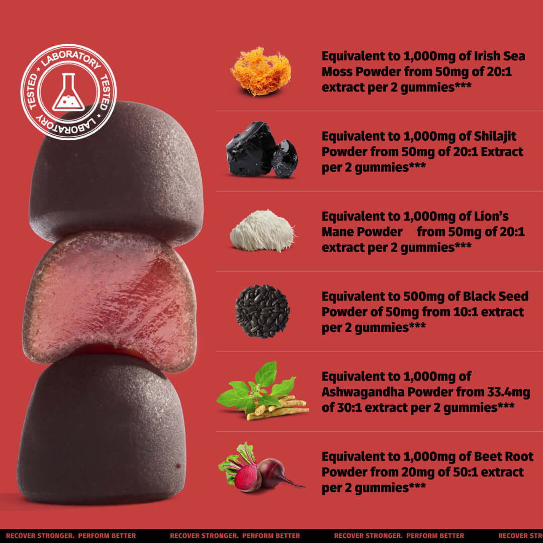 Shilajit Gummies 6-in-1 with Ashwagandha | Coach Soak